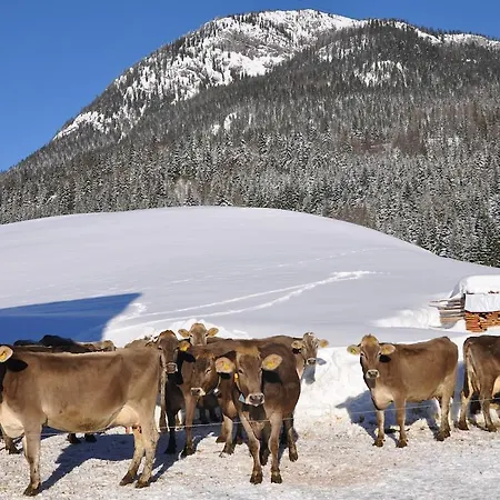 Bauernhof Haim-schnepfleitner