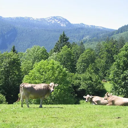 Farm stay Bauernhof Haim-schnepfleitner