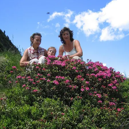 Bauernhof Haim-schnepfleitner