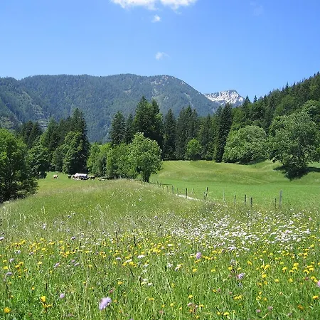 Bauernhof Haim-schnepfleitner Pichl bei Aussee