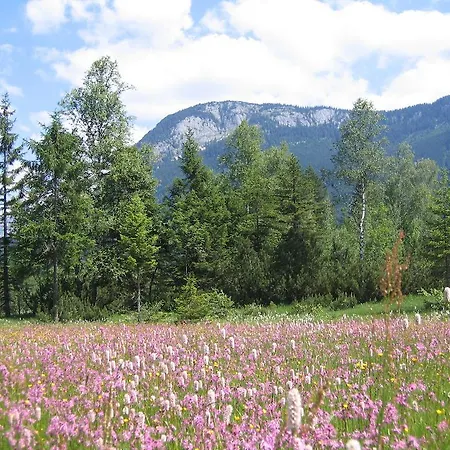 Vakantieboerderij Bauernhof Haim-schnepfleitner *
