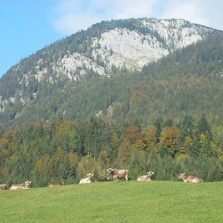 Farm stay Bauernhof Haim-schnepfleitner
