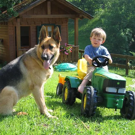 Vakantieboerderij Bauernhof Haim-schnepfleitner Pichl bei Aussee