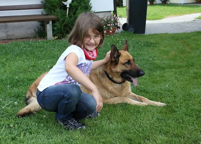 Bauernhof Bauernhof Haim-schnepfleitner Pichl bei Aussee