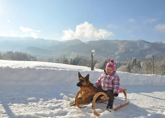 Bauernhof Bauernhof Haim-schnepfleitner