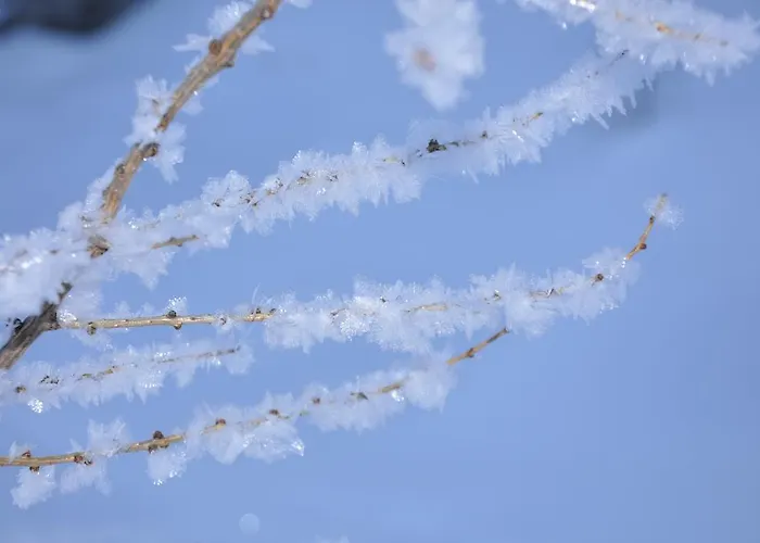 Farmház Bauernhof Haim-schnepfleitner