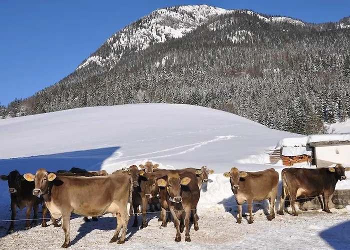 Bauernhof Haim-schnepfleitner