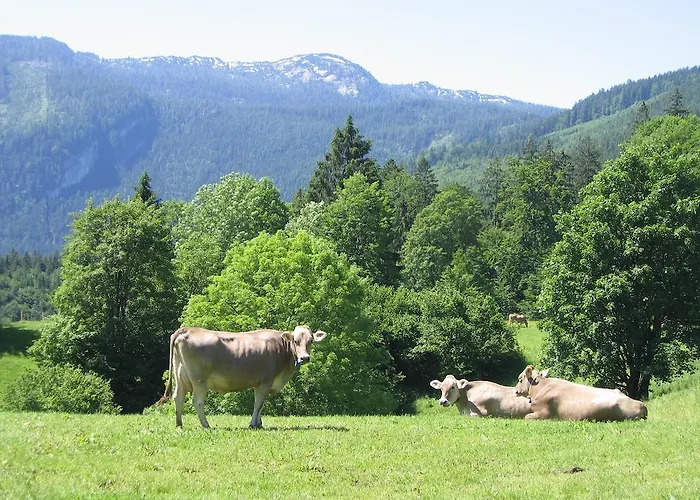 Bauernhof Bauernhof Haim-schnepfleitner