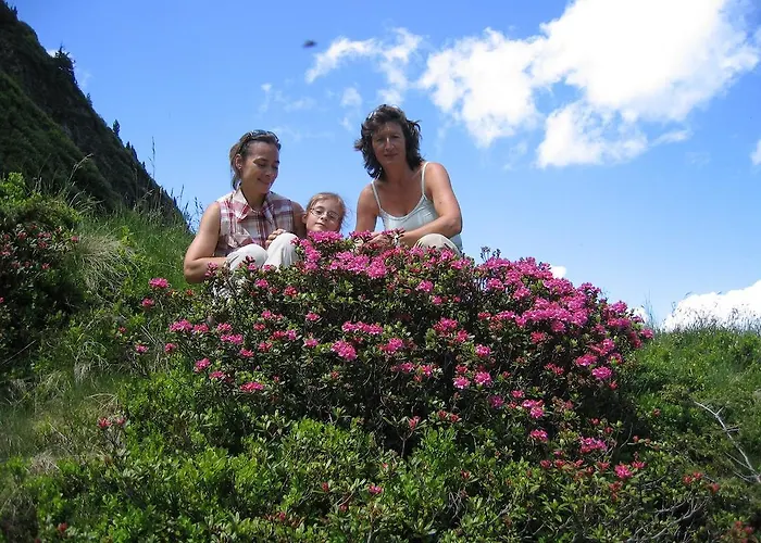 Bauernhof Haim-schnepfleitner