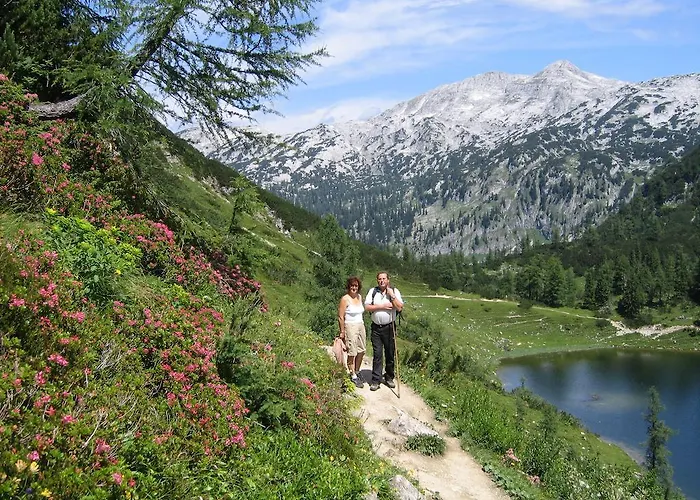 Vakantieboerderij Bauernhof Haim-schnepfleitner