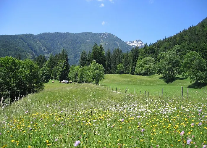 Bauernhof Haim-schnepfleitner Pichl bei Aussee