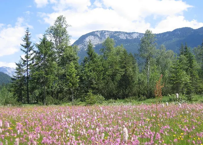Bauernhof Bauernhof Haim-schnepfleitner *