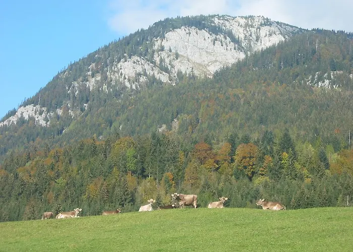 Bauernhof Bauernhof Haim-schnepfleitner