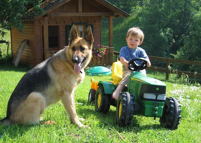 Bauernhof Bauernhof Haim-schnepfleitner Pichl bei Aussee
